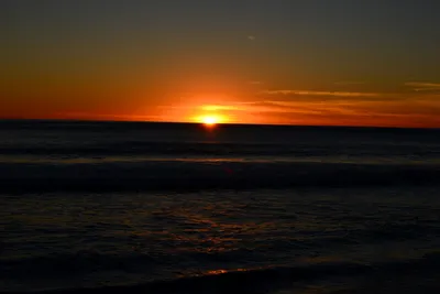 DSC_1298 (Large).JPG